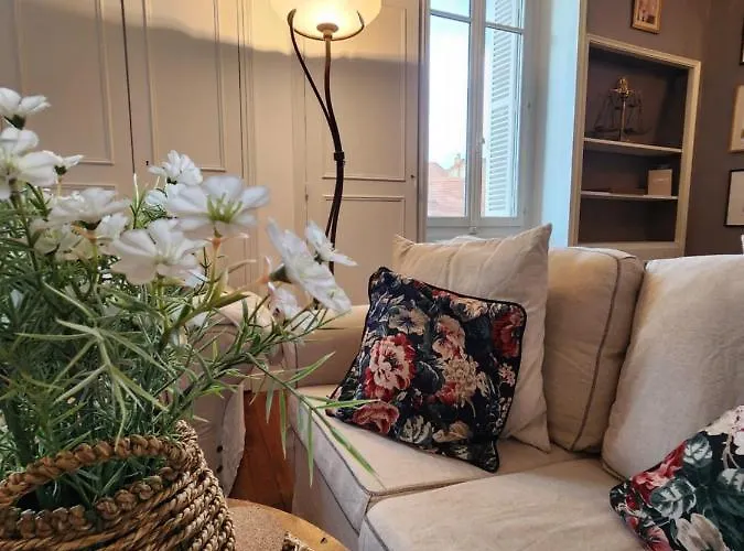 Bonnard - View In 90 Sqm Airconditioned Dijon